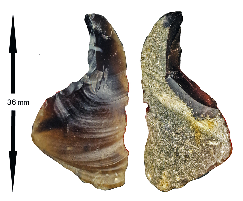 swanscomeflintflake1sm