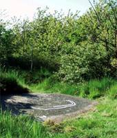 Bornholm rock engravings