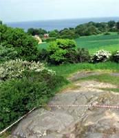 Bornholm rock engravings