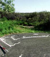 Bornholm rock engravings