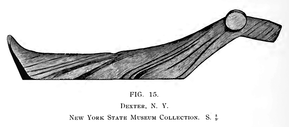 fig_15_Dexter_NY_NYSM_S_3_5sm