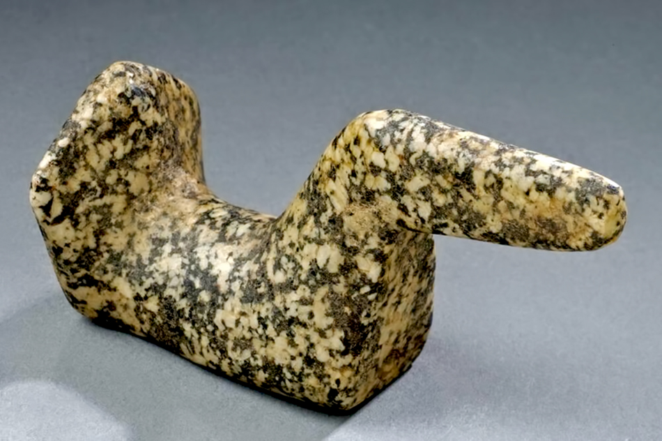 speckled_granite_long_beak_fantailsm