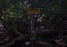 Grass Tree Ridge