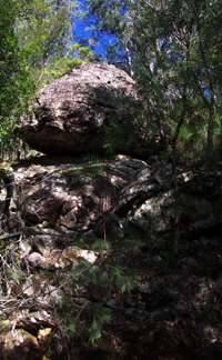 Grass Tree Ridge