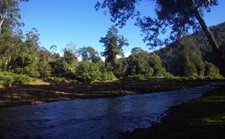 Upper Bellinger River