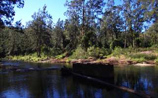 Upper Bellinger River