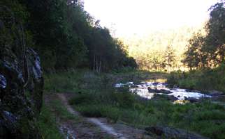 Upper Bellinger River