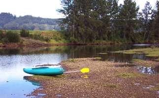 Lower Bellinger River