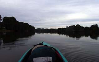 Lower Bellinger River