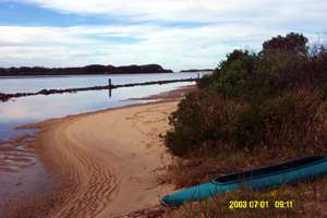 Lower Bellinger River