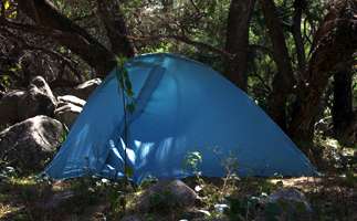 Tent