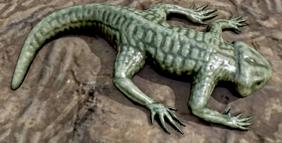 Discosauriscus_austriacus3dsm