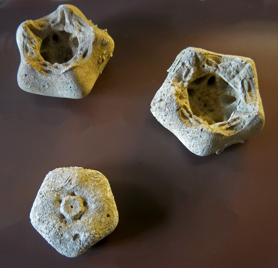 IMG_8826_Millericrinus_millerism