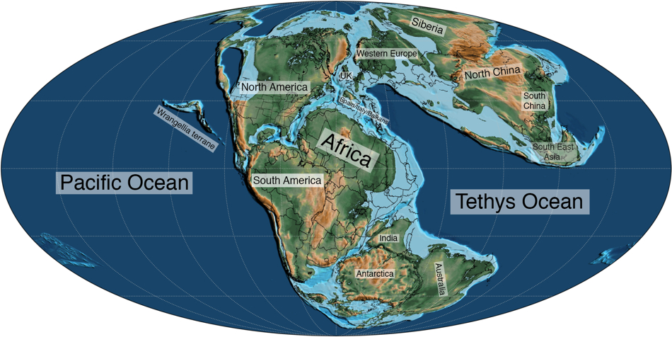 Mollweide_Paleographic_Map_of_Earth_225_Ma_triassicbsm