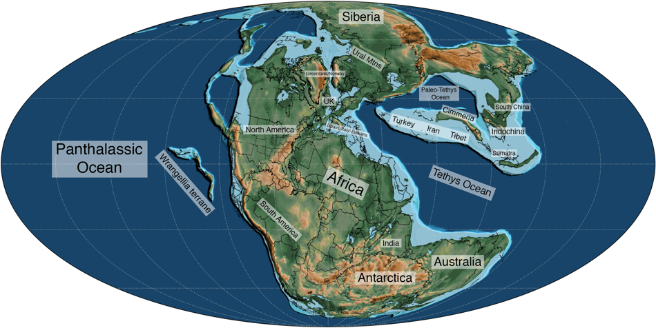 Mollweide_Paleographic_Map_of_Earth_225_Ma_triassicbsm