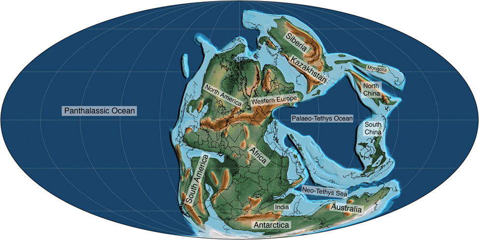 Mollweide_Paleographic_Map_of_Earth_225_Ma_triassicbsm