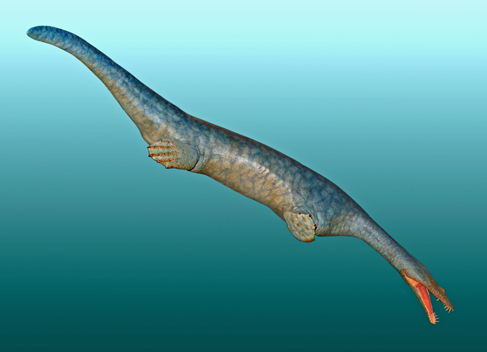 Nothosaurus_mirabilis_01sm